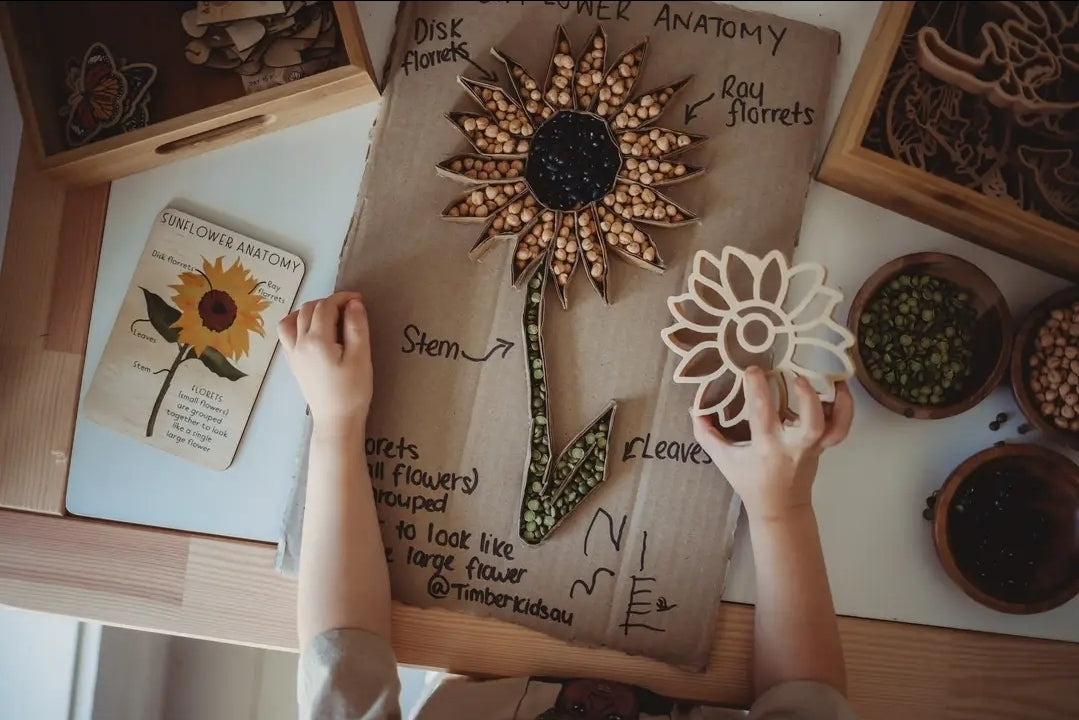 Kinfolk Pantry | Sunflower Eco Cutter