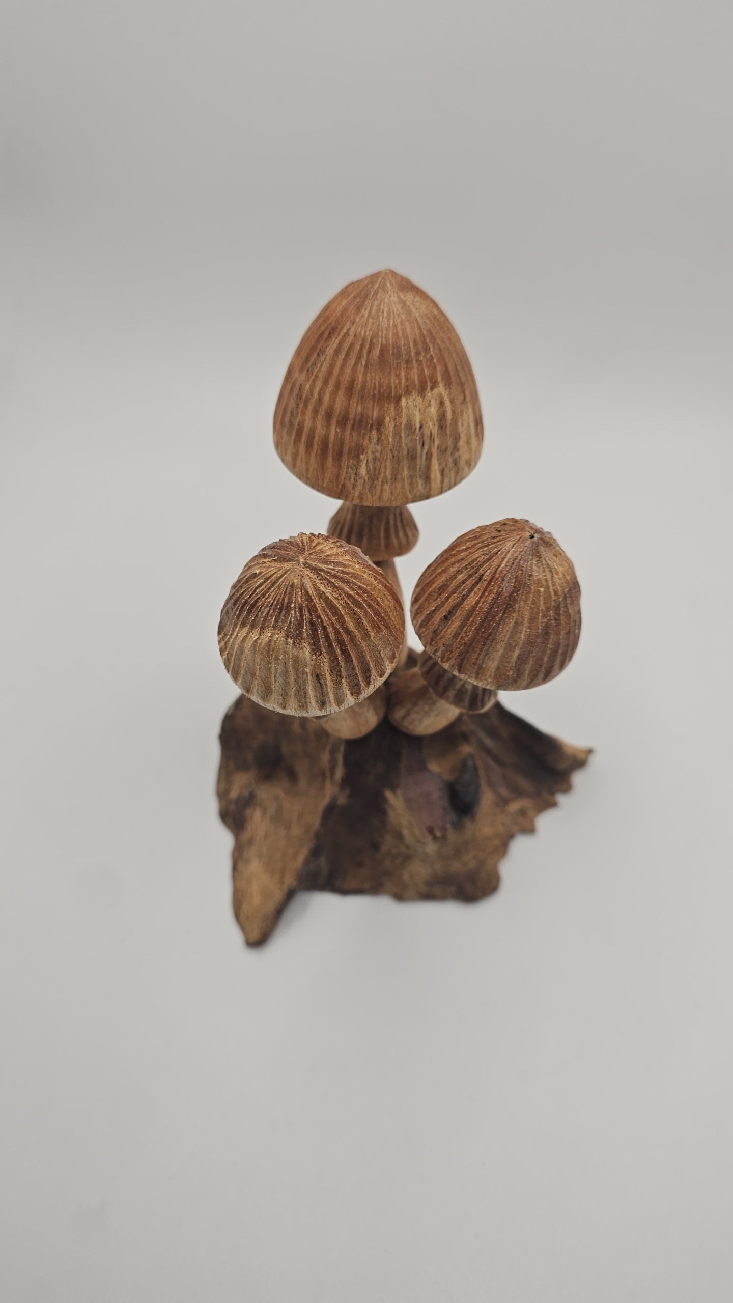 Teak Wood Mushroom Carving