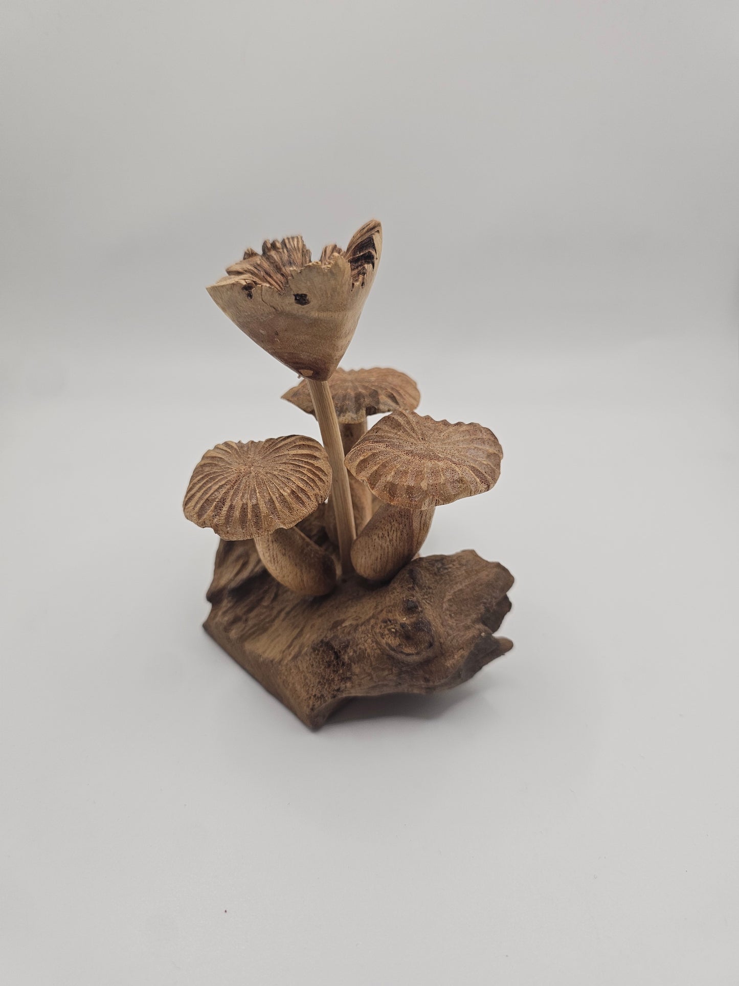 Teak Wood Mushroom Carving