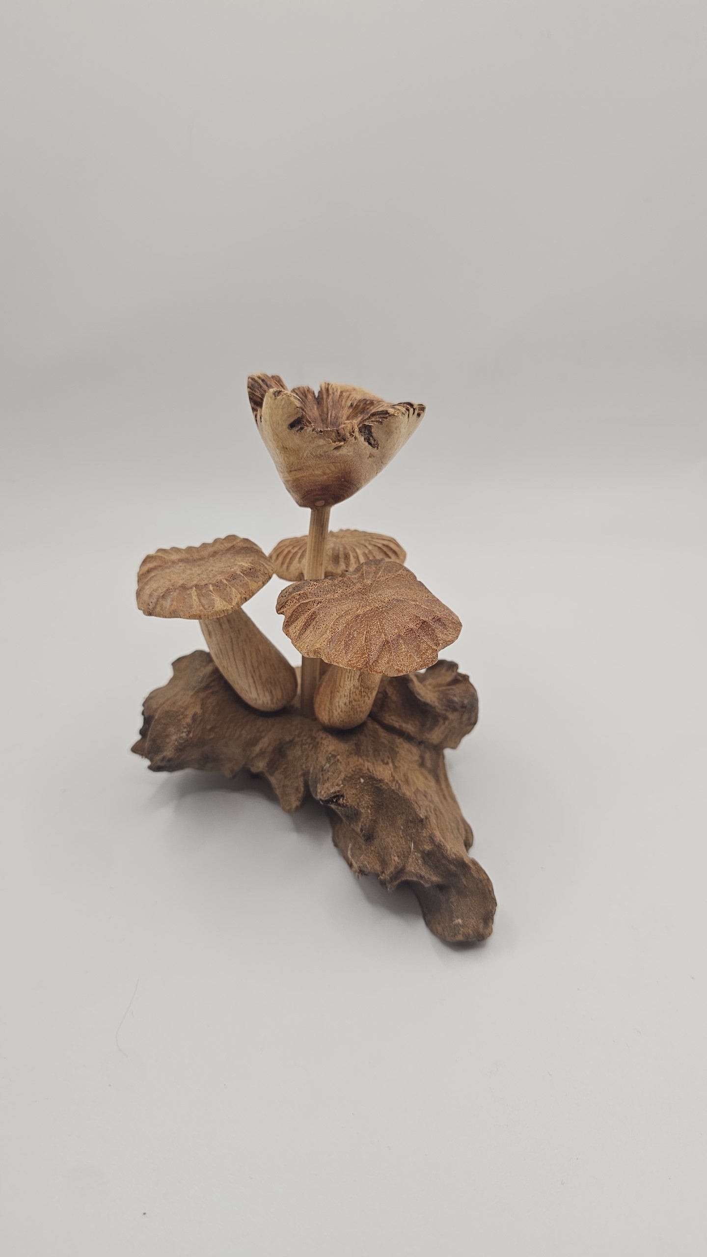 Teak Wood Mushroom Carving