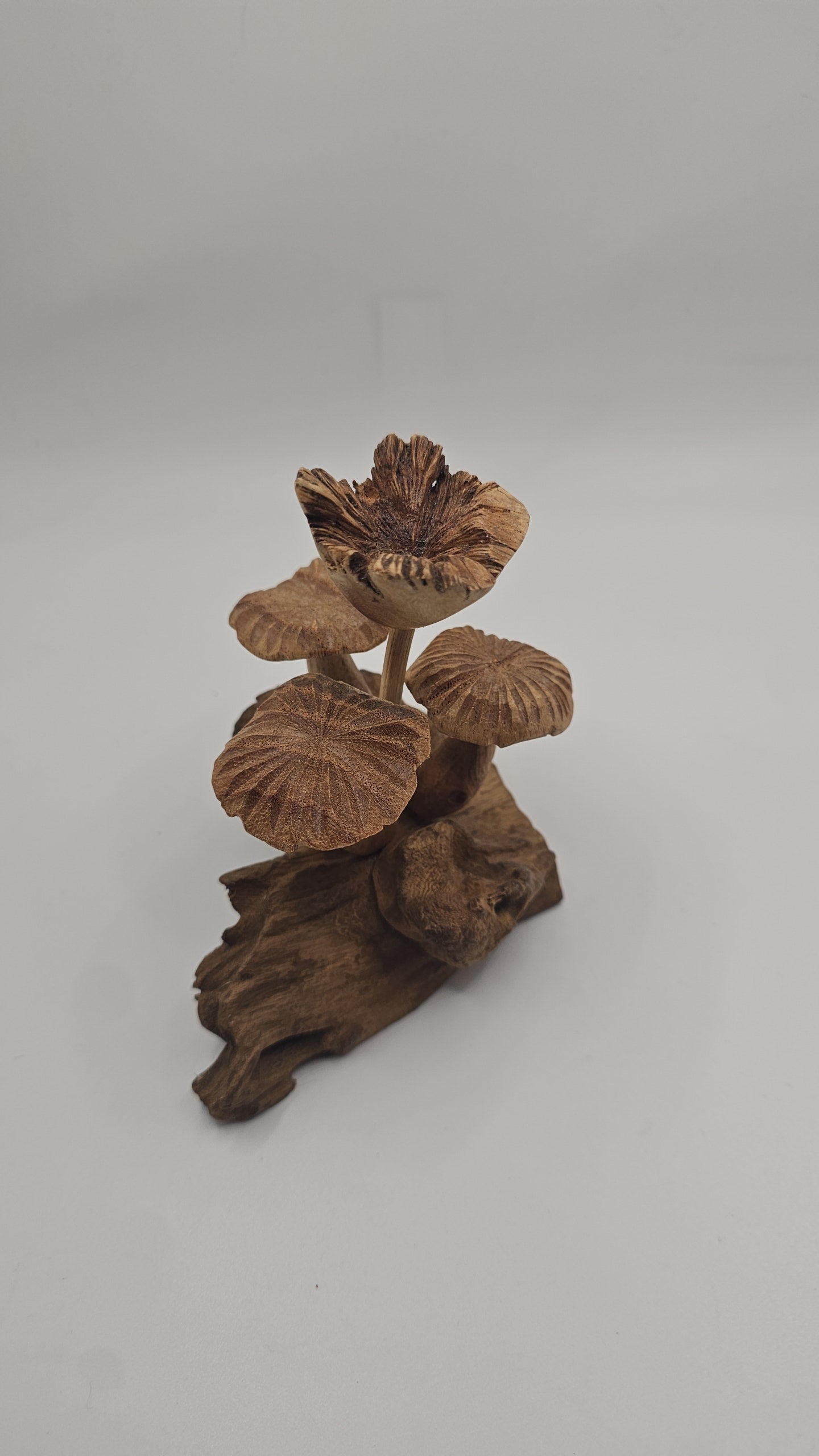 Teak Wood Mushroom Carving
