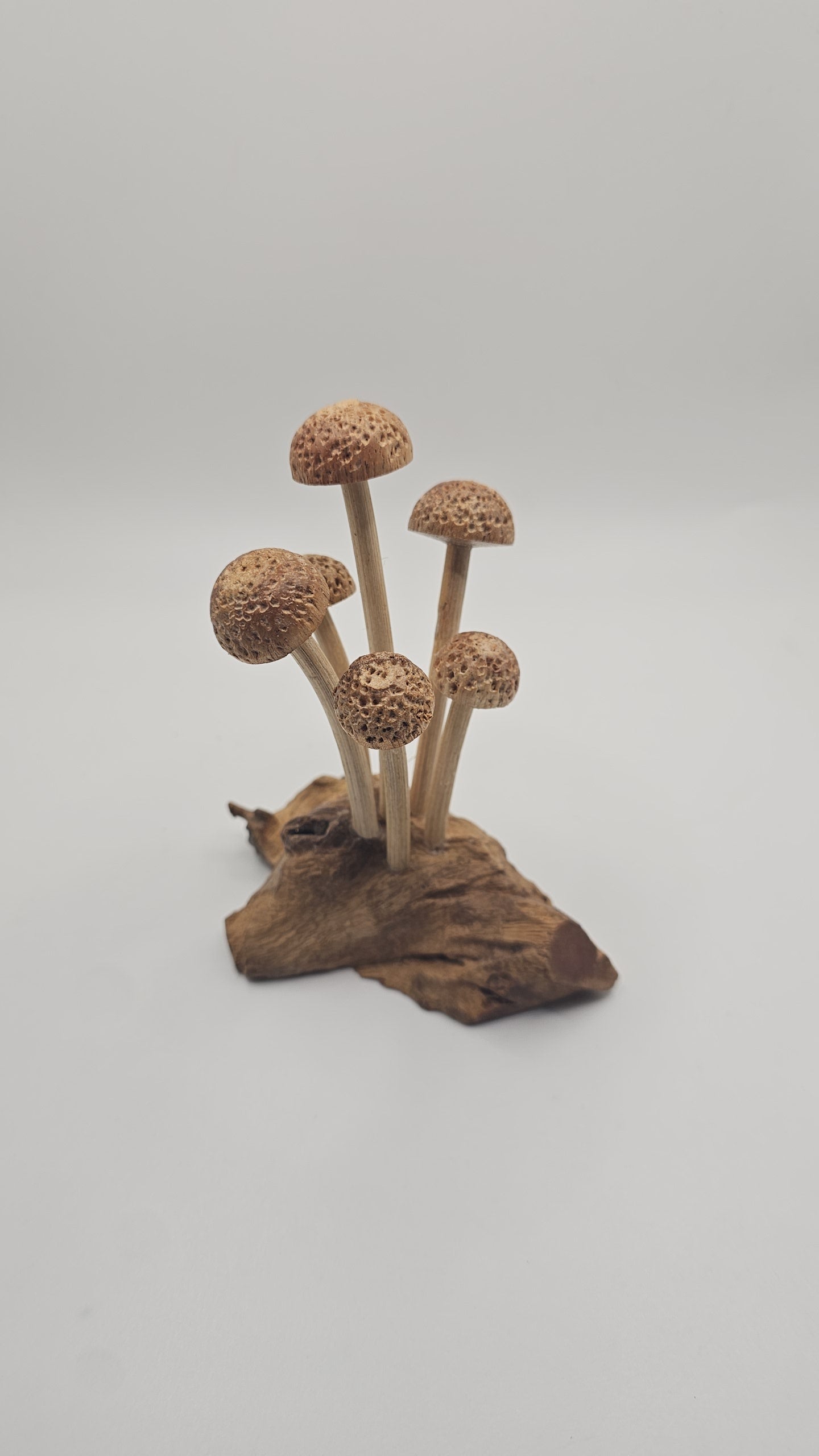 Teak Wood Small Mushroom Carving