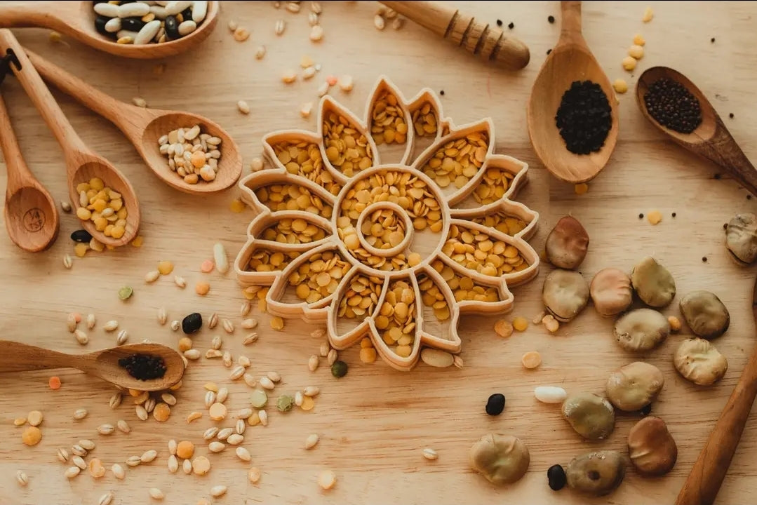 Kinfolk Pantry | Sunflower Eco Cutter