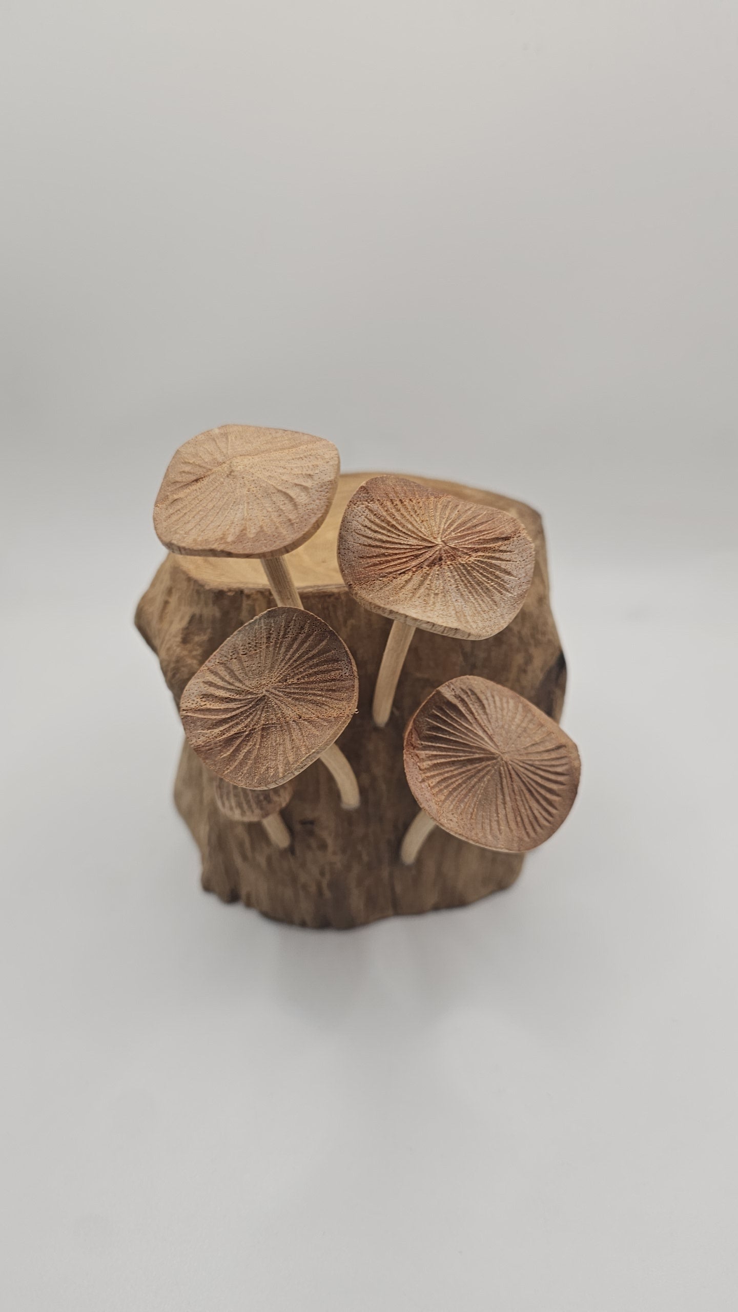 Teak Wood Mushroom Insence Holder