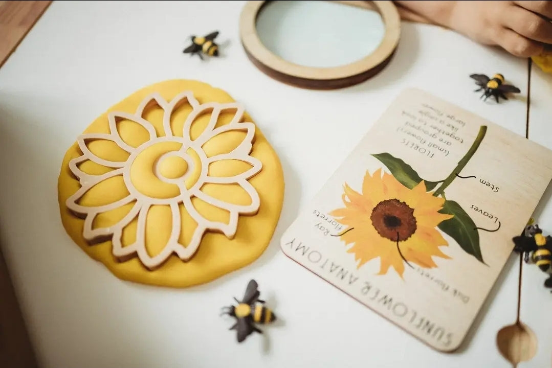 Kinfolk Pantry | Sunflower Eco Cutter