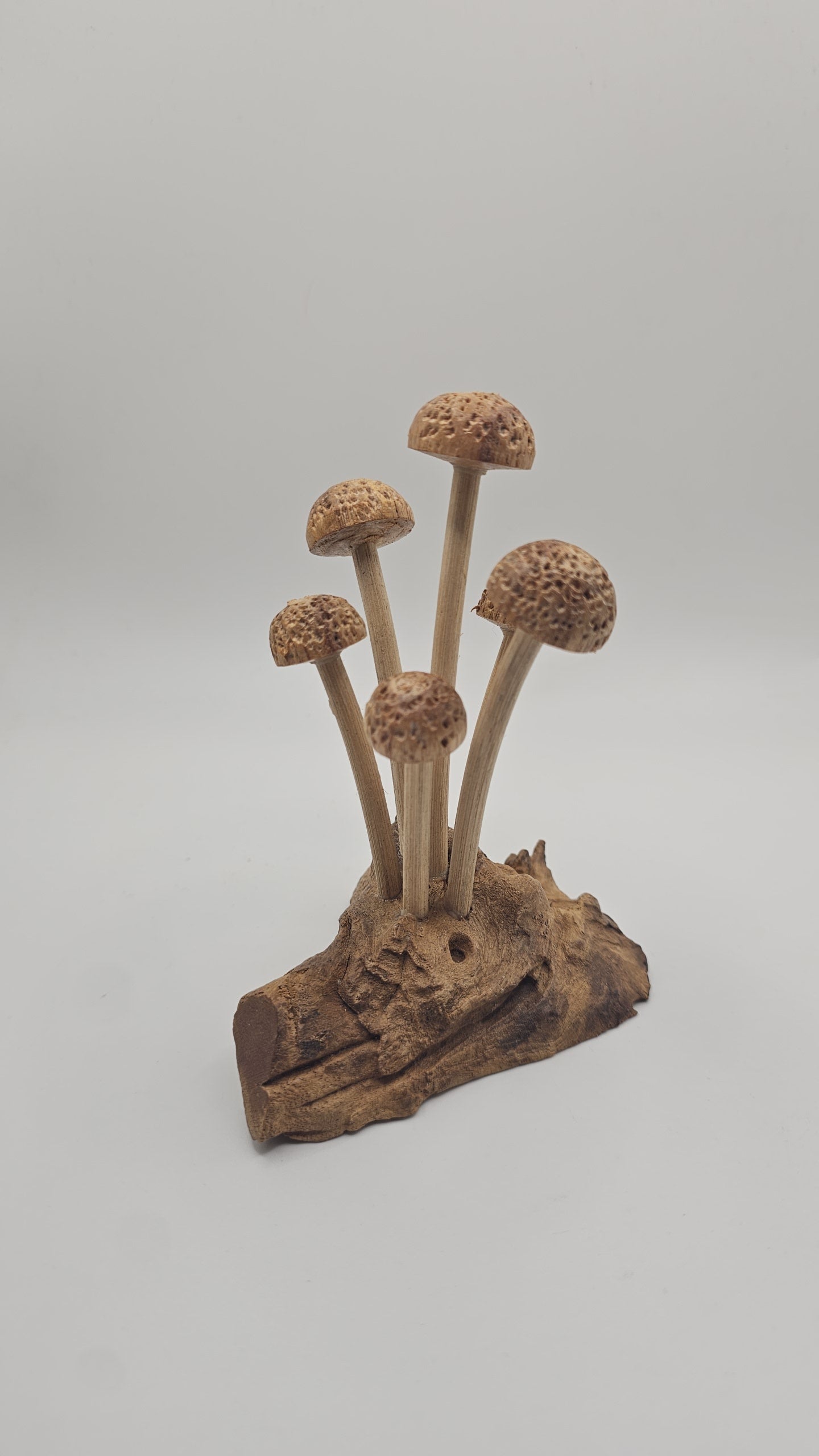 Teak Wood Small Mushroom Carving