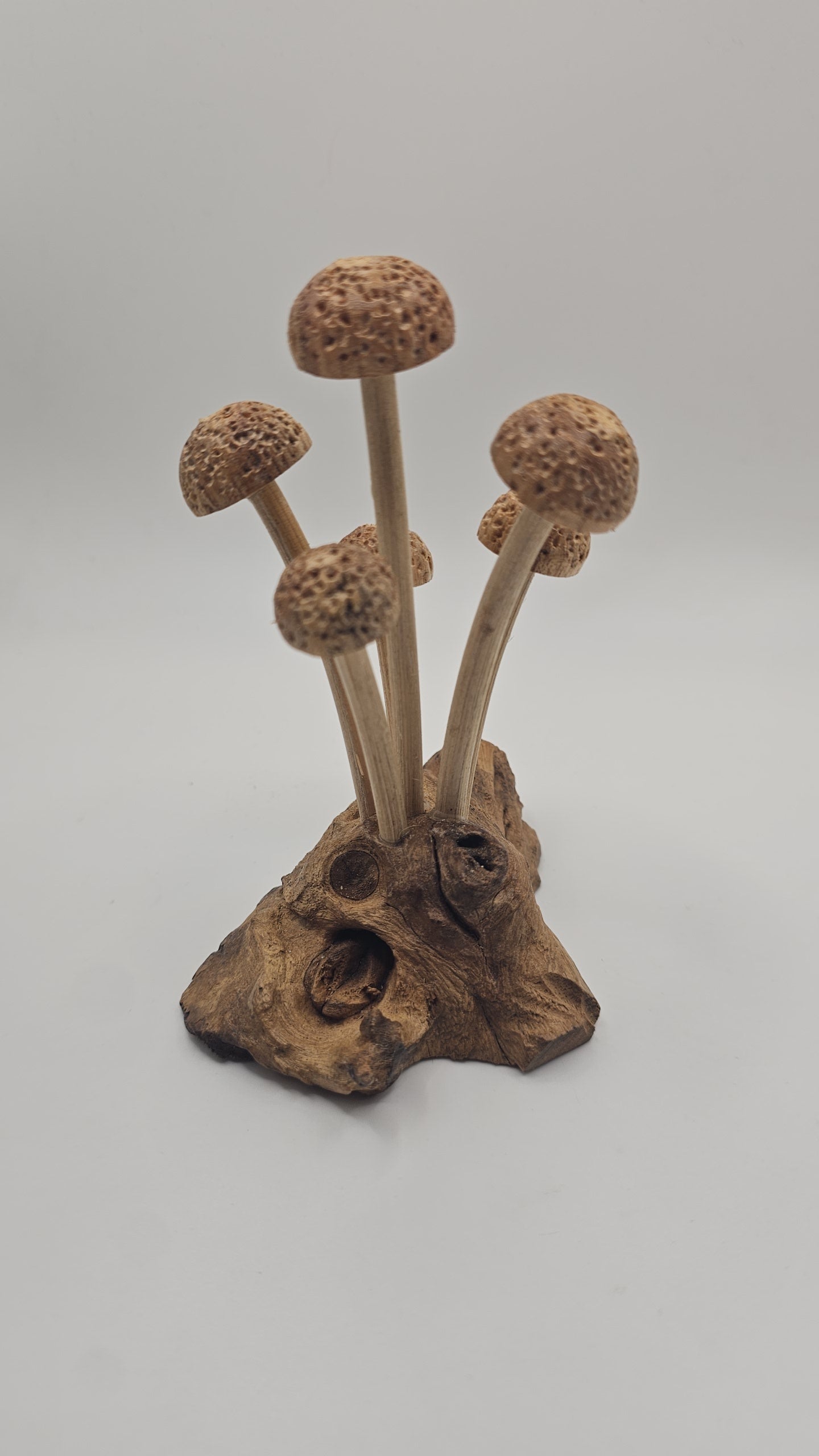 Teak Wood Small Mushroom Carving